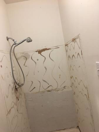 Bathroom Shower Improvements - Before