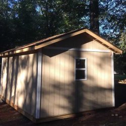 New Shed Renovation