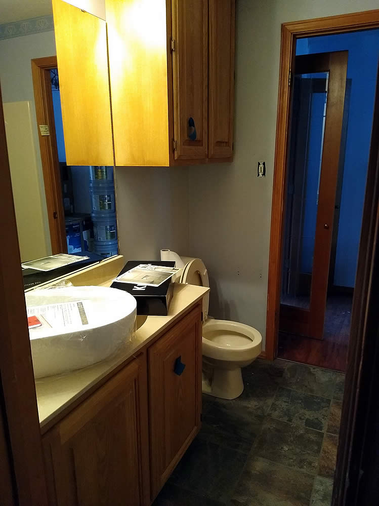 Master Bathroom Renovation